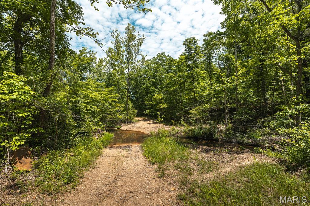 64 New Home Road Salem, MO 65560 - Photo 81 of 86