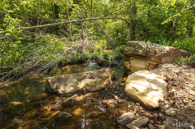 $1,095,000 | 64 New Home Road, Salem, MO 65560