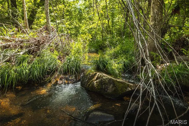 $1,095,000 | 64 New Home Road, Salem, MO 65560