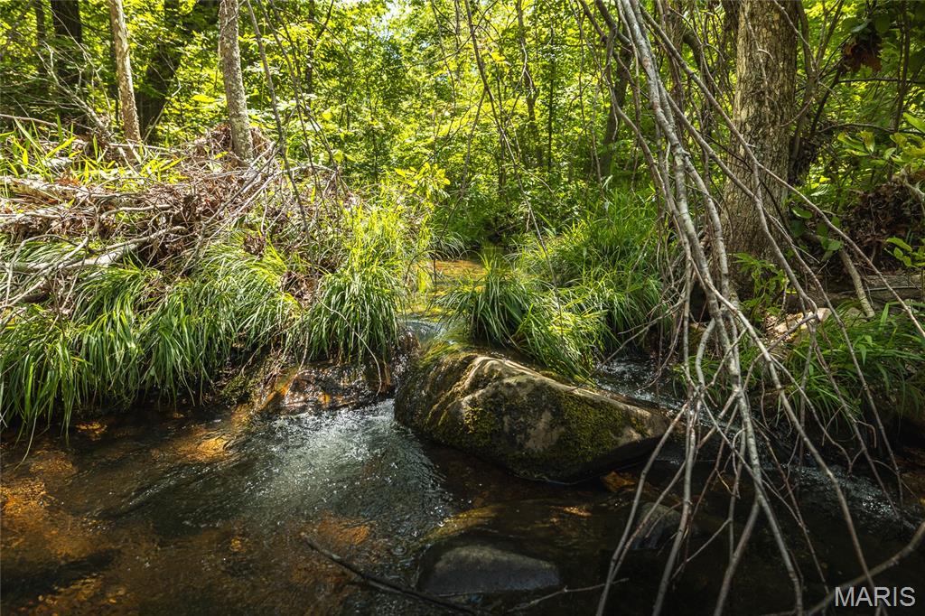 64 New Home Road Salem, MO 65560 - Photo 83 of 86