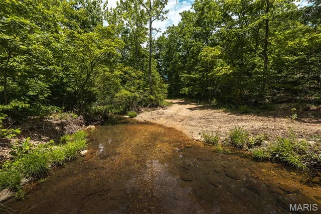 $1,095,000 | 64 New Home Road, Salem, MO 65560