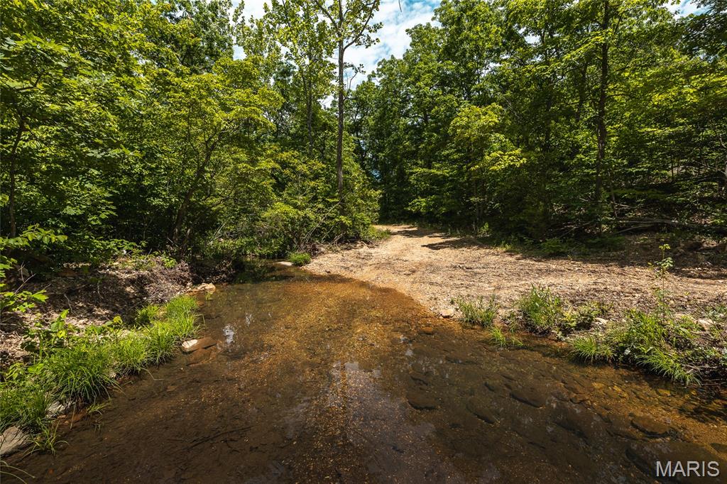 64 New Home Road Salem, MO 65560 - Photo 84 of 86