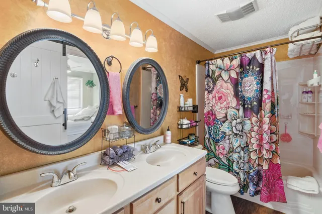 a bathroom with a sink mirror vanity and toilet