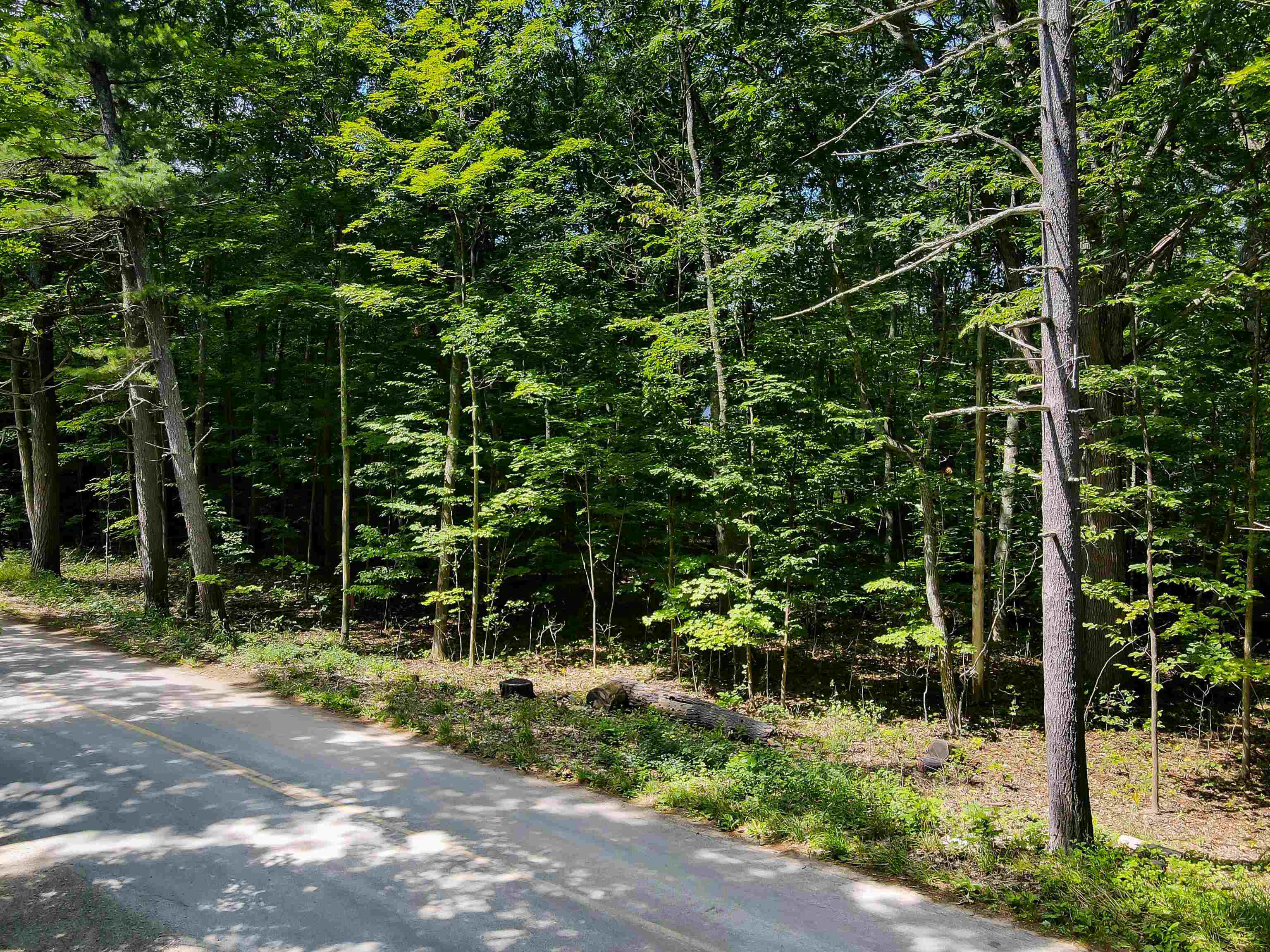 Lot 7-9 Eastern Road Traverse City, MI 49686 - Photo 4 of 9 Gallery Image 4