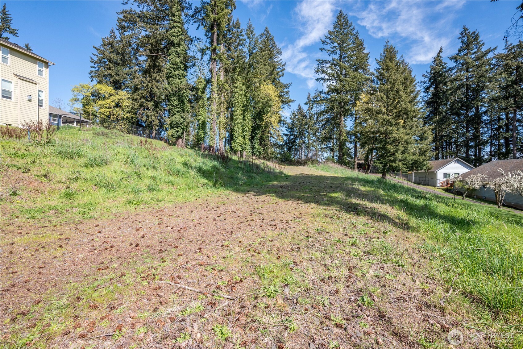 2322 West Castleman Street Longview, WA 98632 - Photo 3 of 17