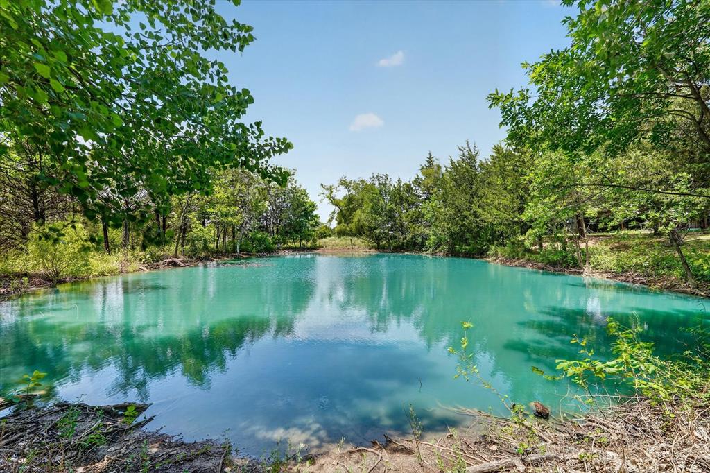 8088 Telegraph Road Quinlan, TX 75474 - Photo 4 of 34