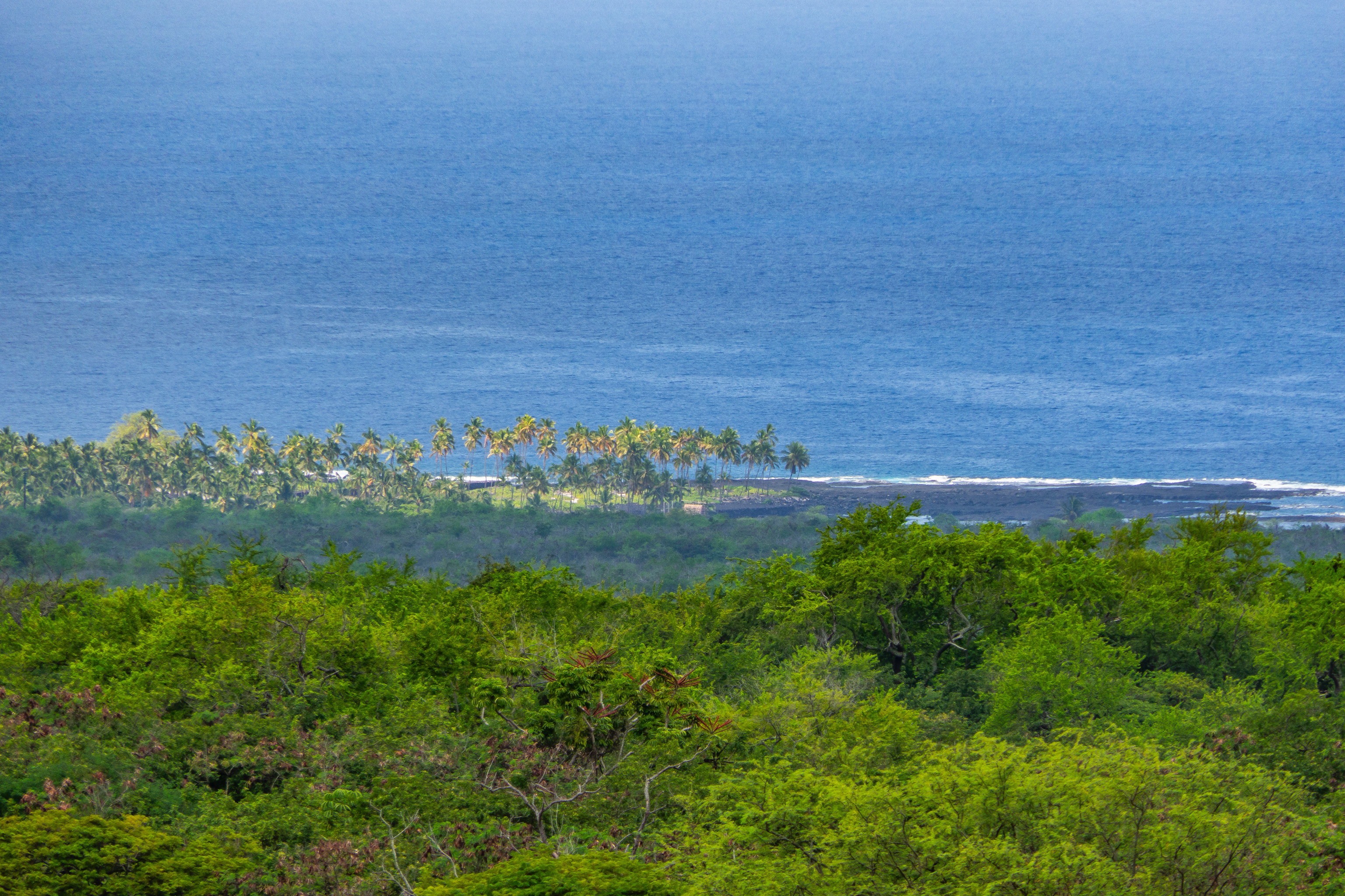 83-5599D Middle Keei Road Captain Cook, HI 96704 - Photo 18 of 30 Gallery Image 18
