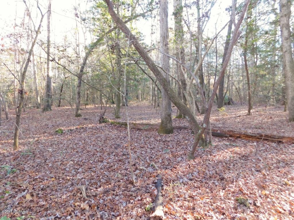 26.89 Bynum Farm Road Pinetops, NC 27864 - Photo 30 of 43 30 (1024x768)