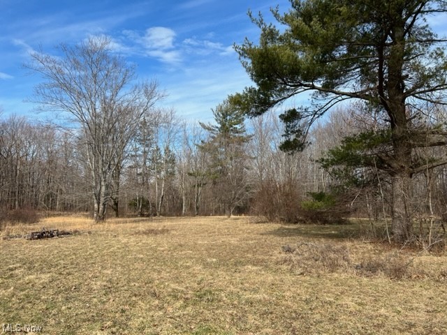 5813 Ford Road Madison, OH 44057 - Photo 27 of 29