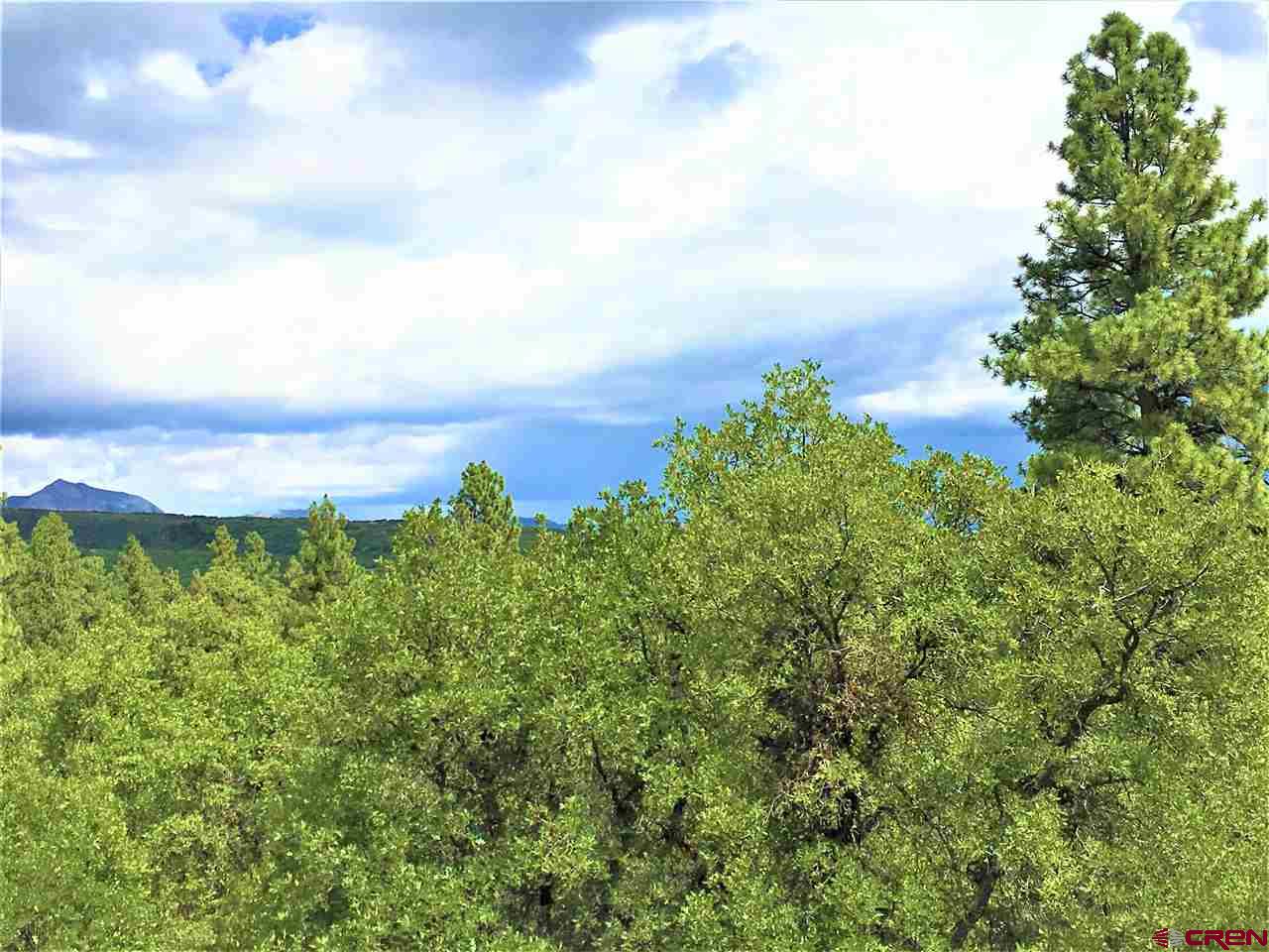 1498 Durango Ridge Road Durango, CO 81301 - Photo 14 of 18