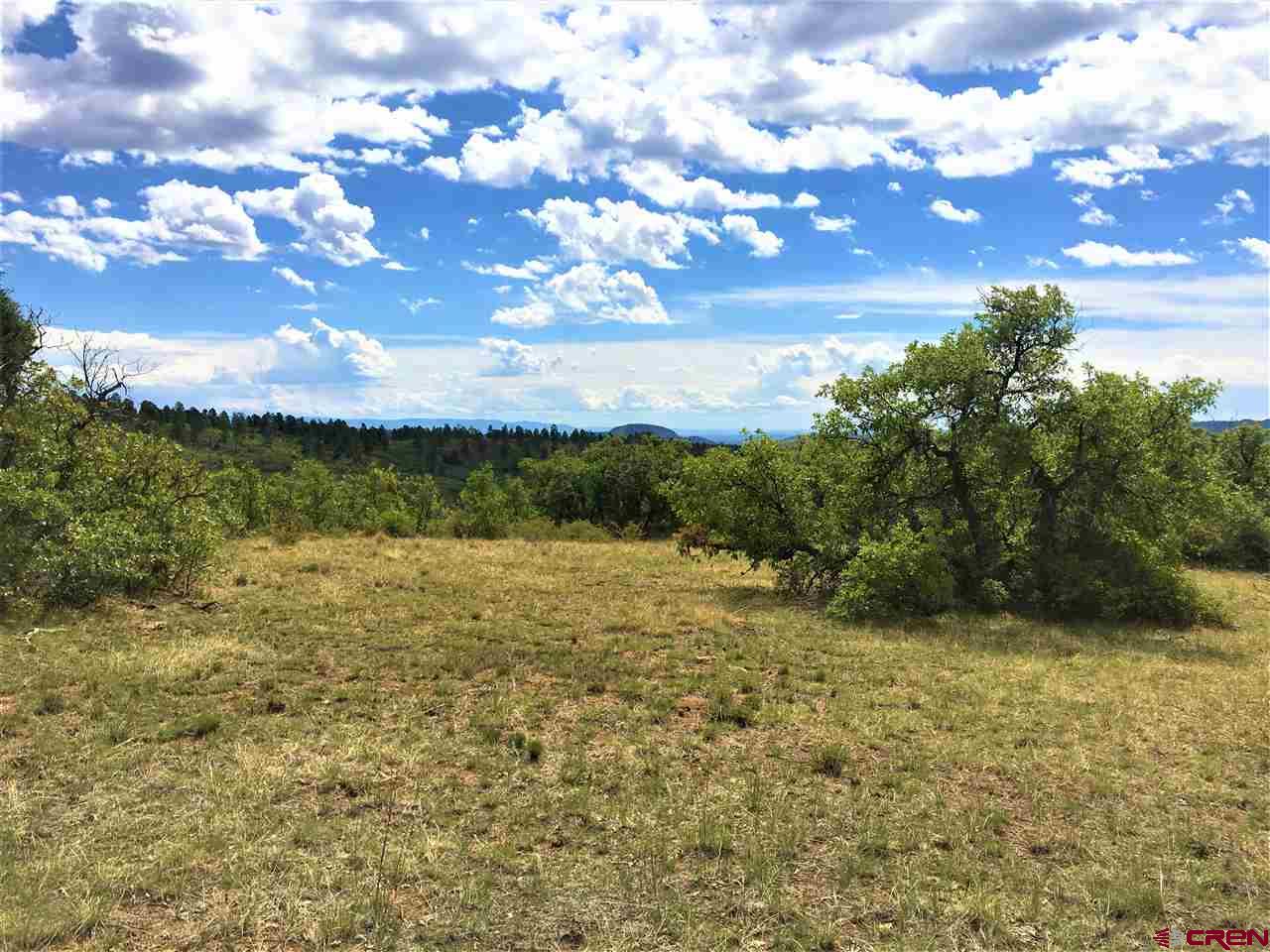 1498 Durango Ridge Road Durango, CO 81301 - Photo 8 of 18