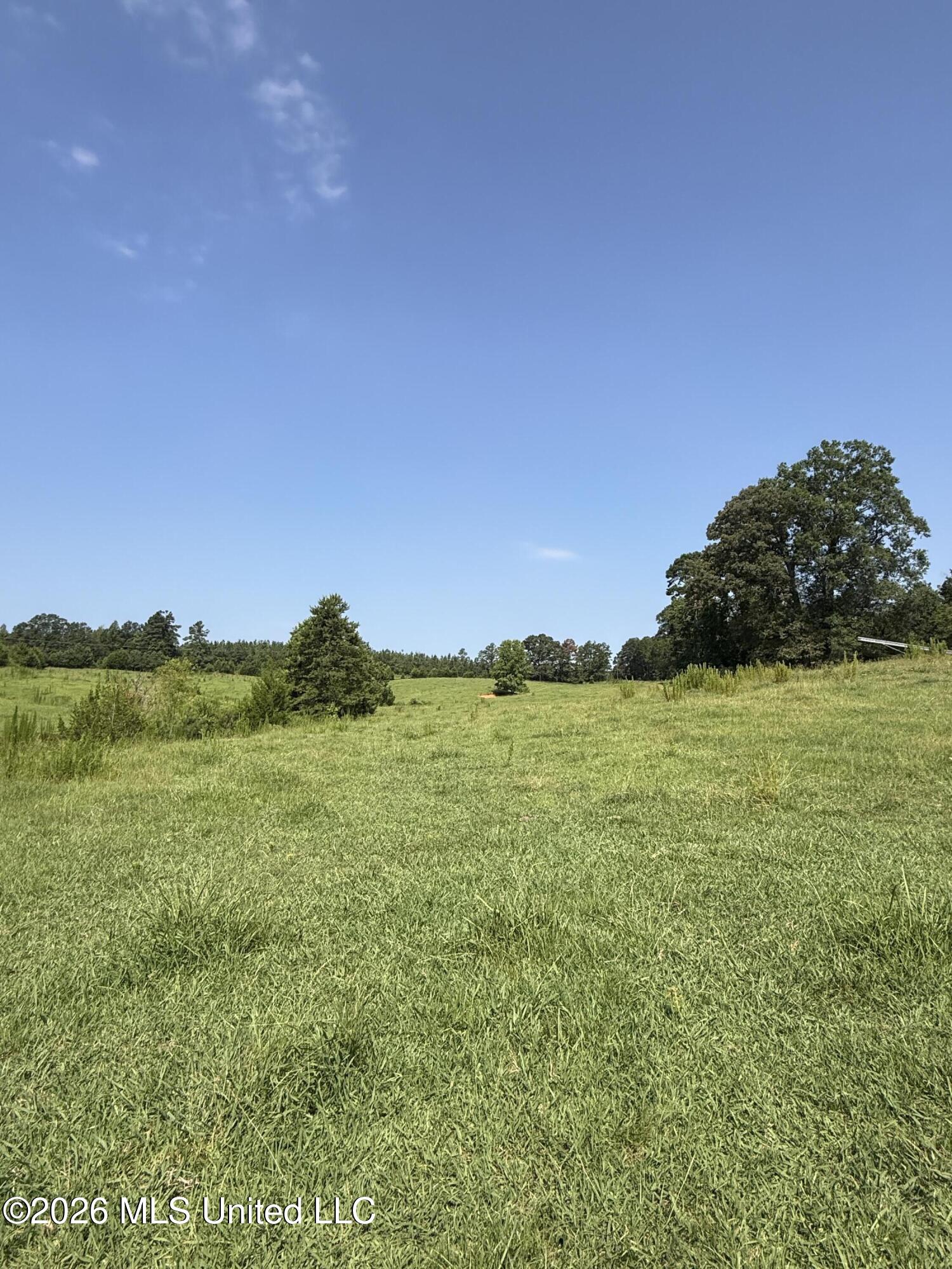 Monte Vista Road Eupora, MS 39744 - Photo 21 of 54 IMG_6415