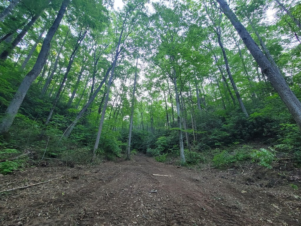 14 Cara Way Cosby, TN 37722 - Photo 8 of 18