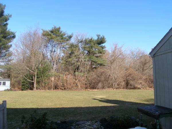 6 Apple Tree Hill Road, Unit 6 Hopkinton, MA 01748 - Photo 23 of 27 Gallery Image 23