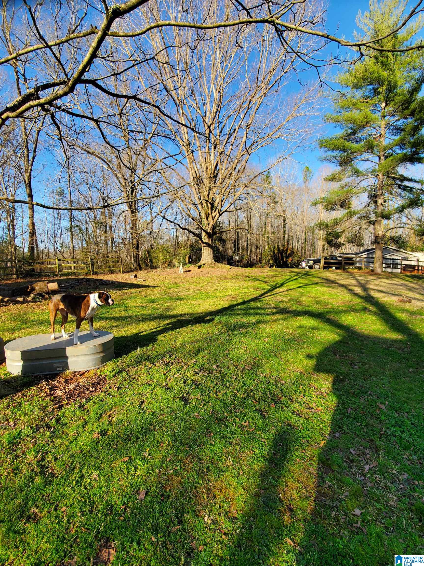 2410 Taylors Mill Road Talladega, AL 35160 - Photo 7 of 50