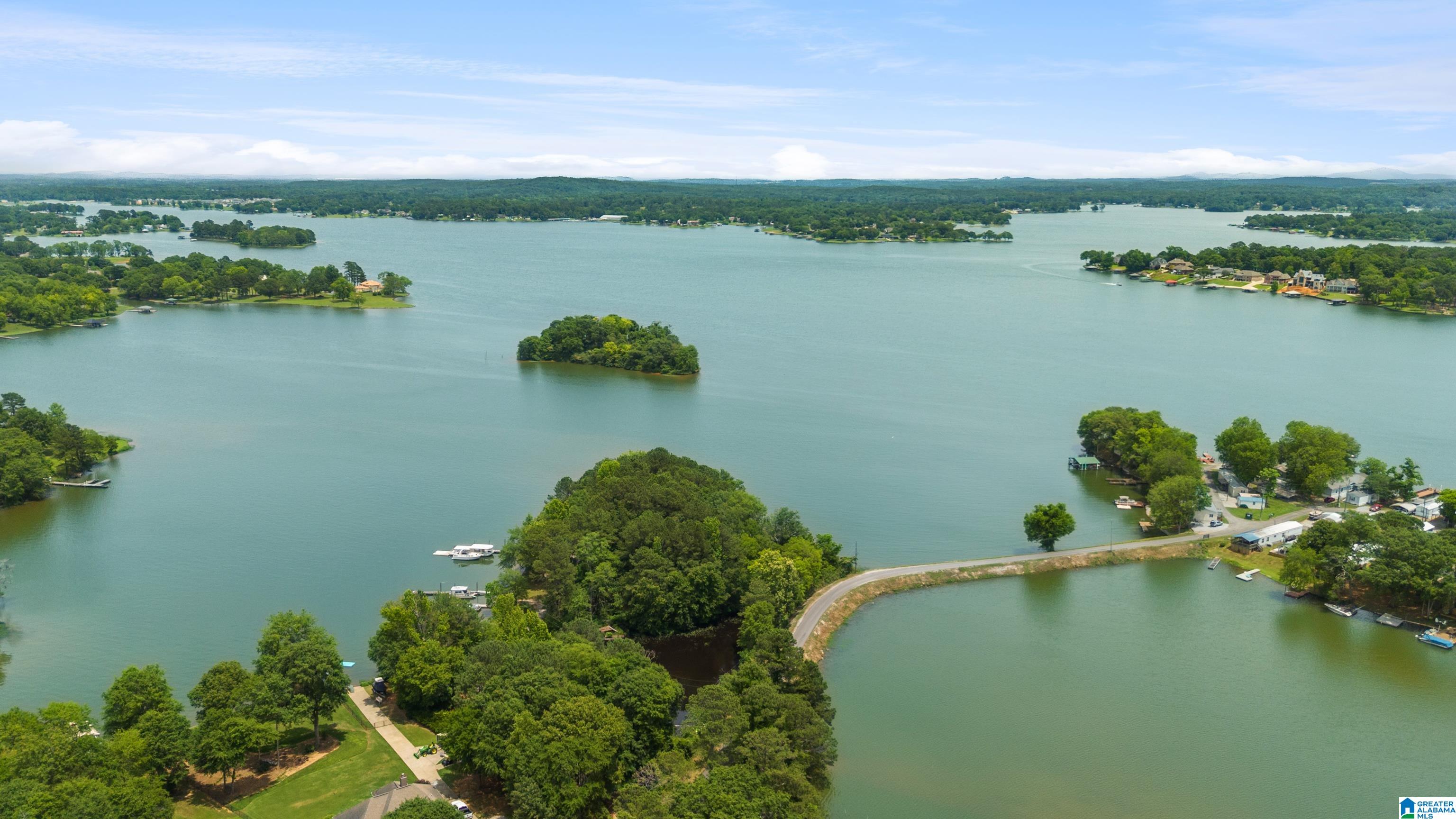 113 Harmons Island Road Cropwell, AL 35054 - Photo 59 of 61