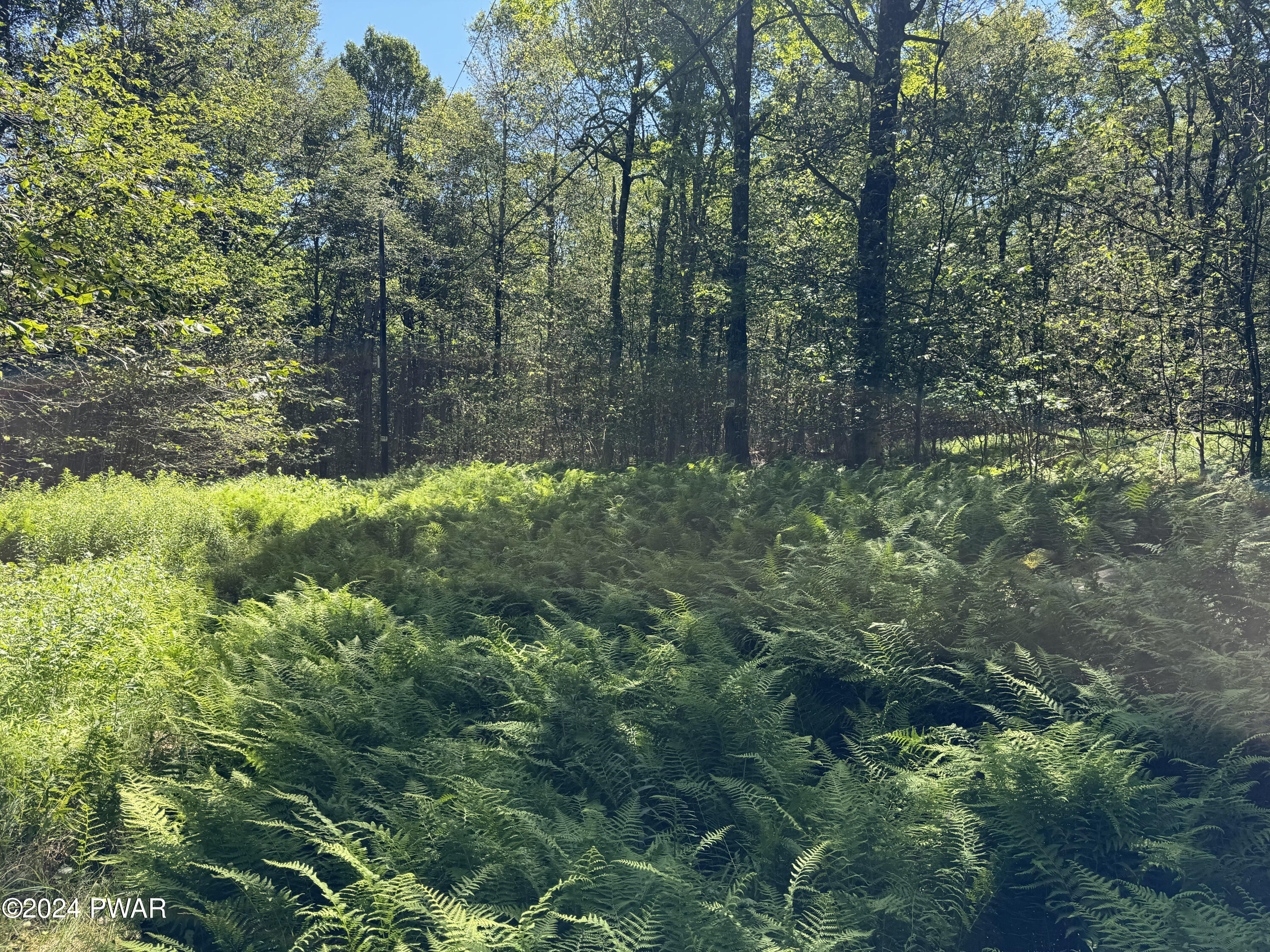 Deesch Road Greentown, PA 18426 - Photo 3 of 5