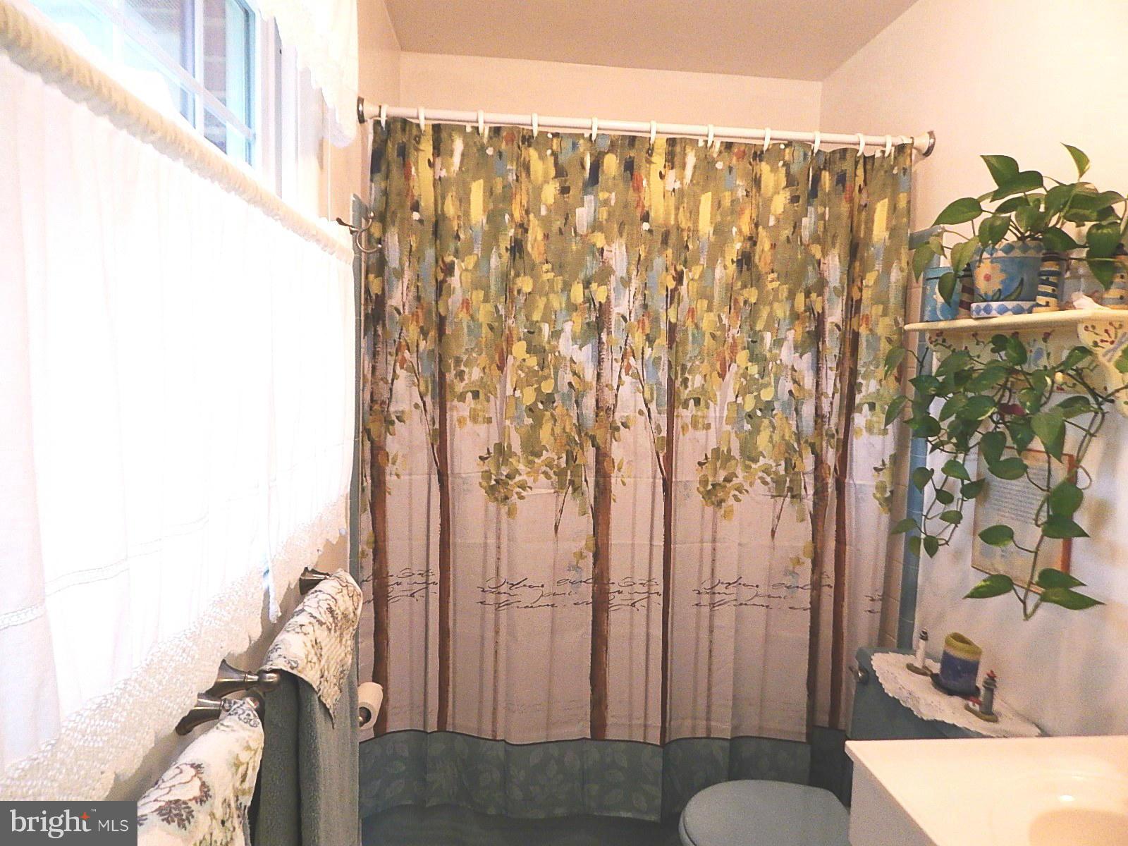 5508 Moultrie Road Springfield, VA 22151 - Photo 14 of 27 Bath (Master)