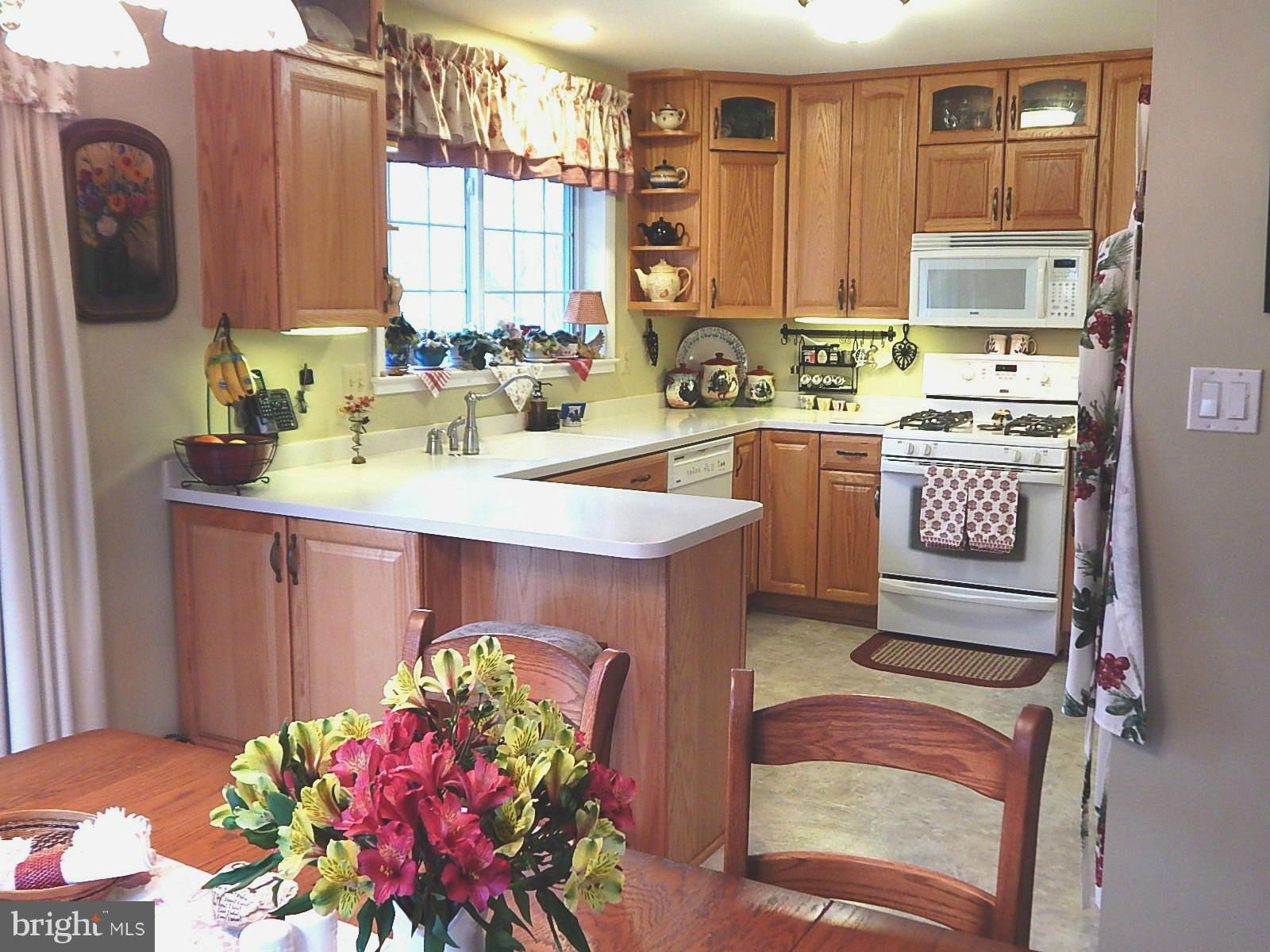 5508 Moultrie Road Springfield, VA 22151 - Photo 10 of 27 Kitchen
