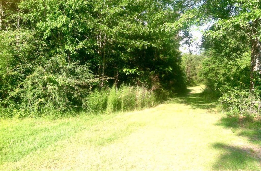 20123 Knights Road Covington, LA 70435 - Photo 3 of 5 Gallery Image 3