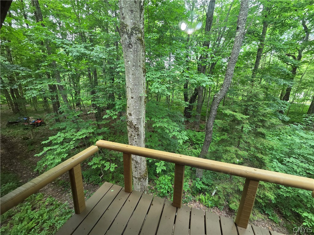 3147 Potter Road Osceola, NY 13437 - Photo 6 of 48