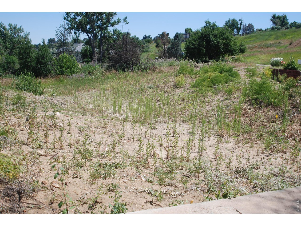 7233 Spring Court Boulder, CO 80303 - Photo 17 of 18 a view of a field with trees in the background