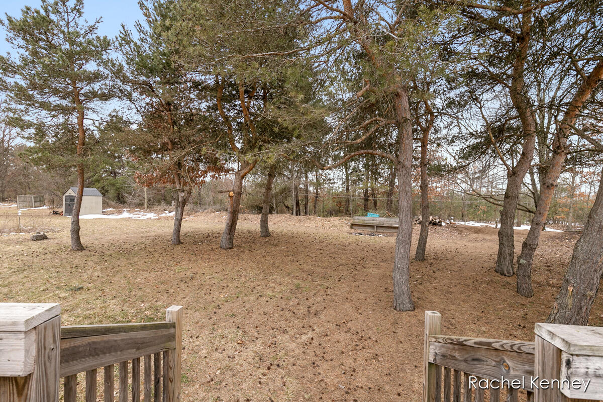 729 Pine Ridge Drive Belding, MI 48809 - Photo 21 of 31 IMG_1025