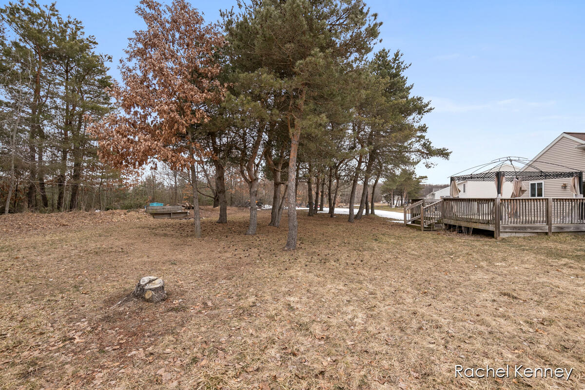 729 Pine Ridge Drive Belding, MI 48809 - Photo 26 of 31 IMG_1030