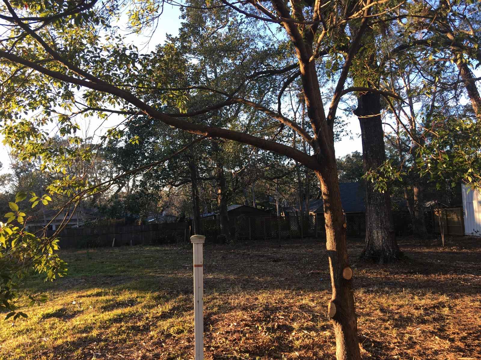 360 South Summit Street Fairhope, AL 36532 - Photo 11 of 11 Beautiful Mature Trees
