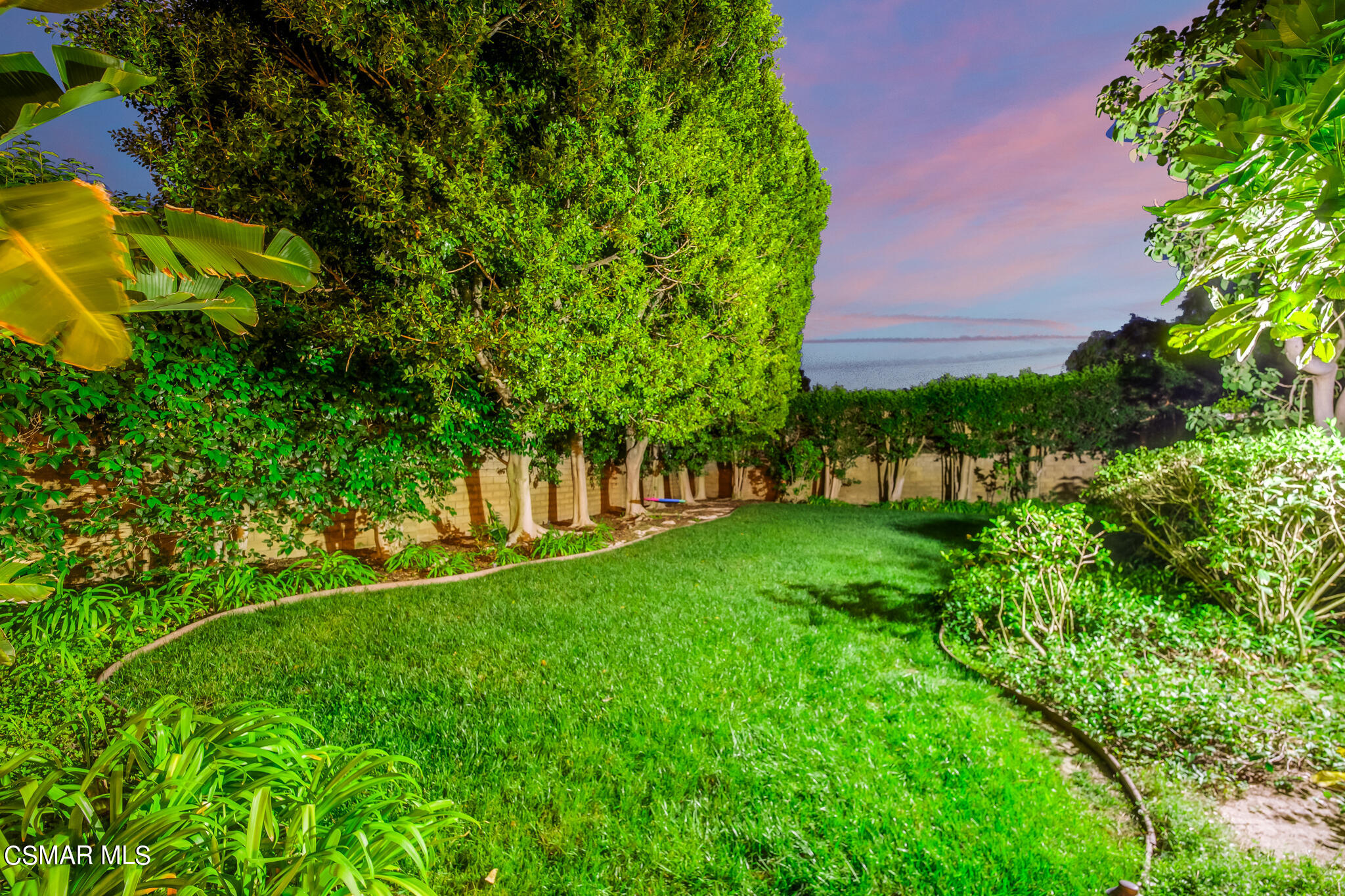 1776 Corte Jubilo Camarillo, CA 93012 - Photo 68 of 74 a view of a yard with plants and a large tree