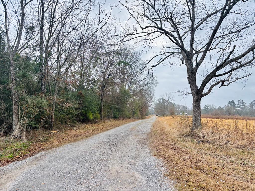 0 Forest Breland Road Poplarville, MS 39470 - Photo 1 of 1 Main View