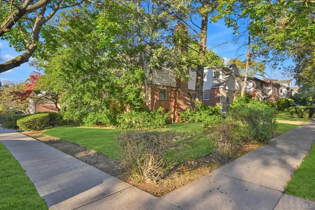 a view of a garden with plants