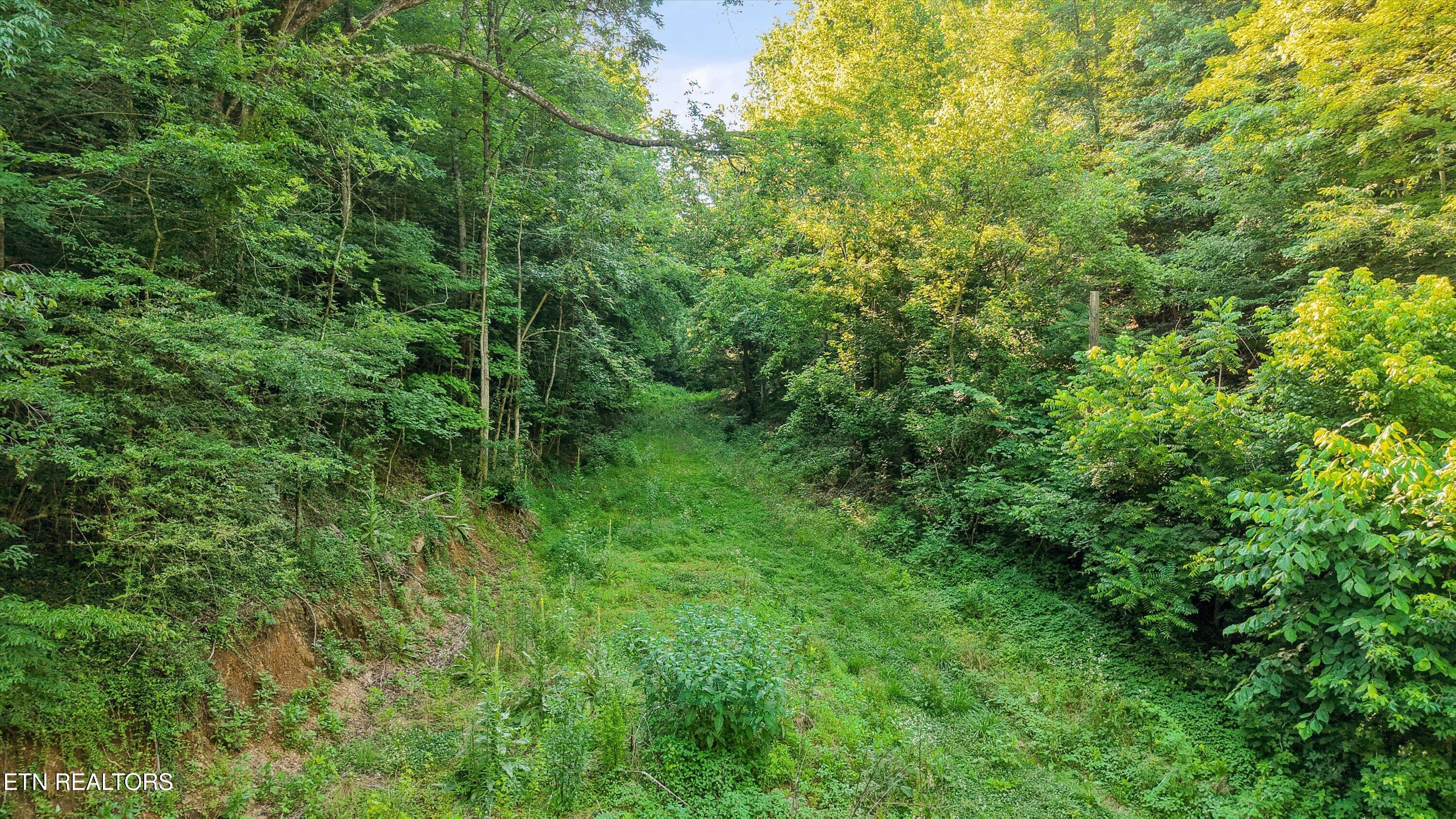 1717 Long Branch Road Seymour, TN 37865 - Photo 9 of 10 05-1717 Long Branch Rd05