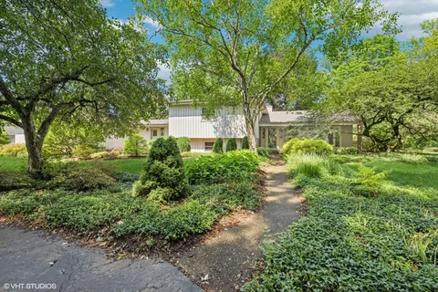 a view of a garden with trees