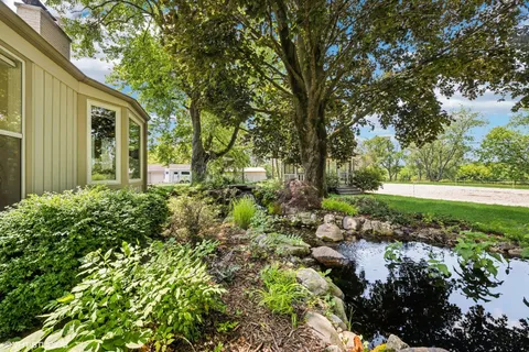 a view of a garden with a bench