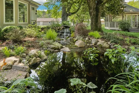 a view of a garden with plants and large trees