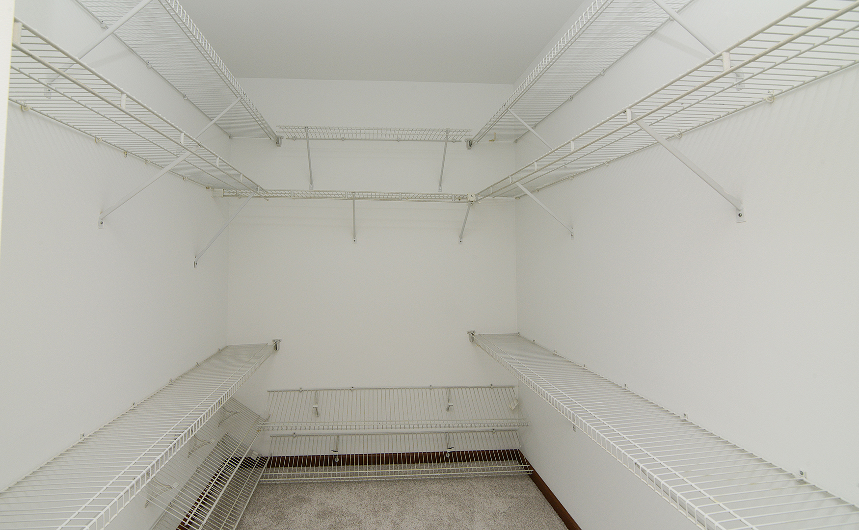 503 Yardley Drive Carol Stream, IL 60188 - Photo 23 of 41 a view of walk in closet