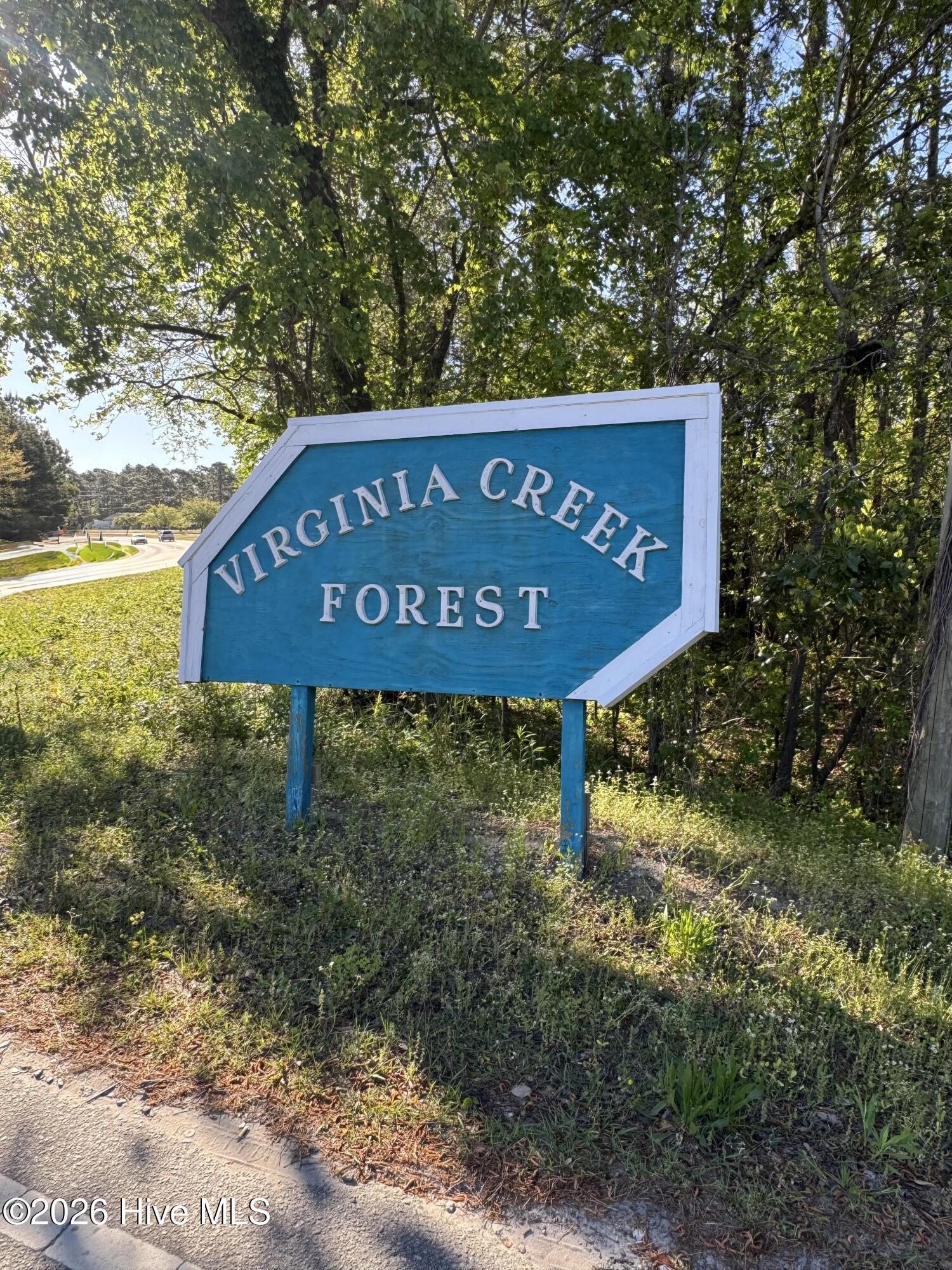 42 Pond View Lane Hampstead, NC 28443 - Photo 6 of 6 VCF