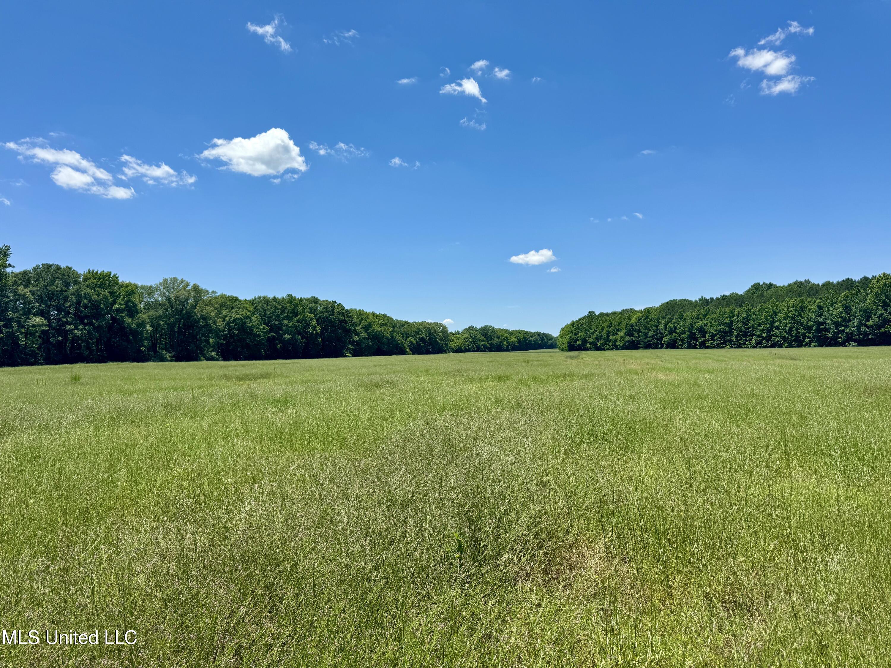 5 Johnson Line Road Bolton, MS 39041 - Photo 1 of 24 land