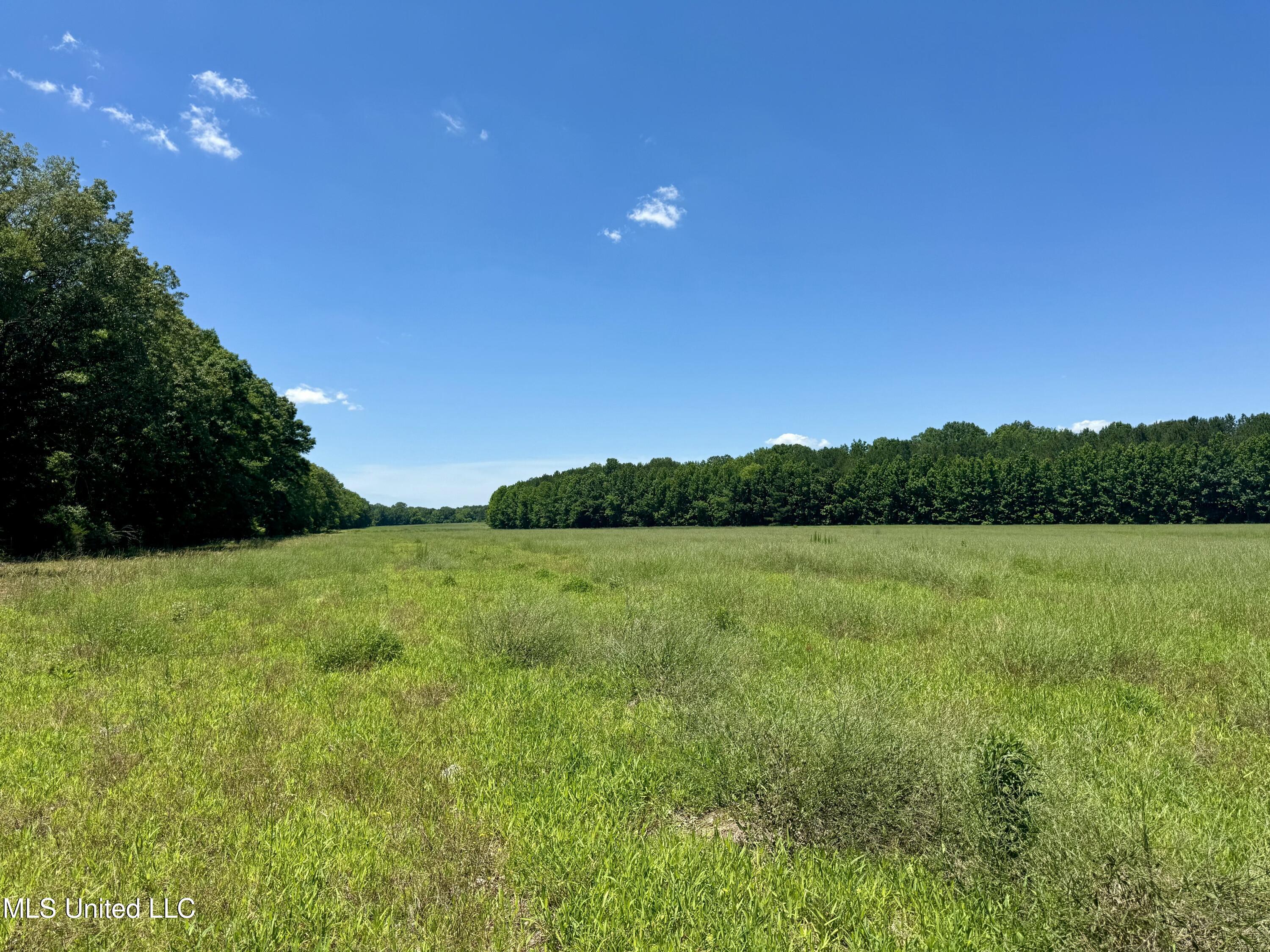 5 Johnson Line Road Bolton, MS 39041 - Photo 18 of 24 807D75F3-5010-412E-922A-ED8A21514263
