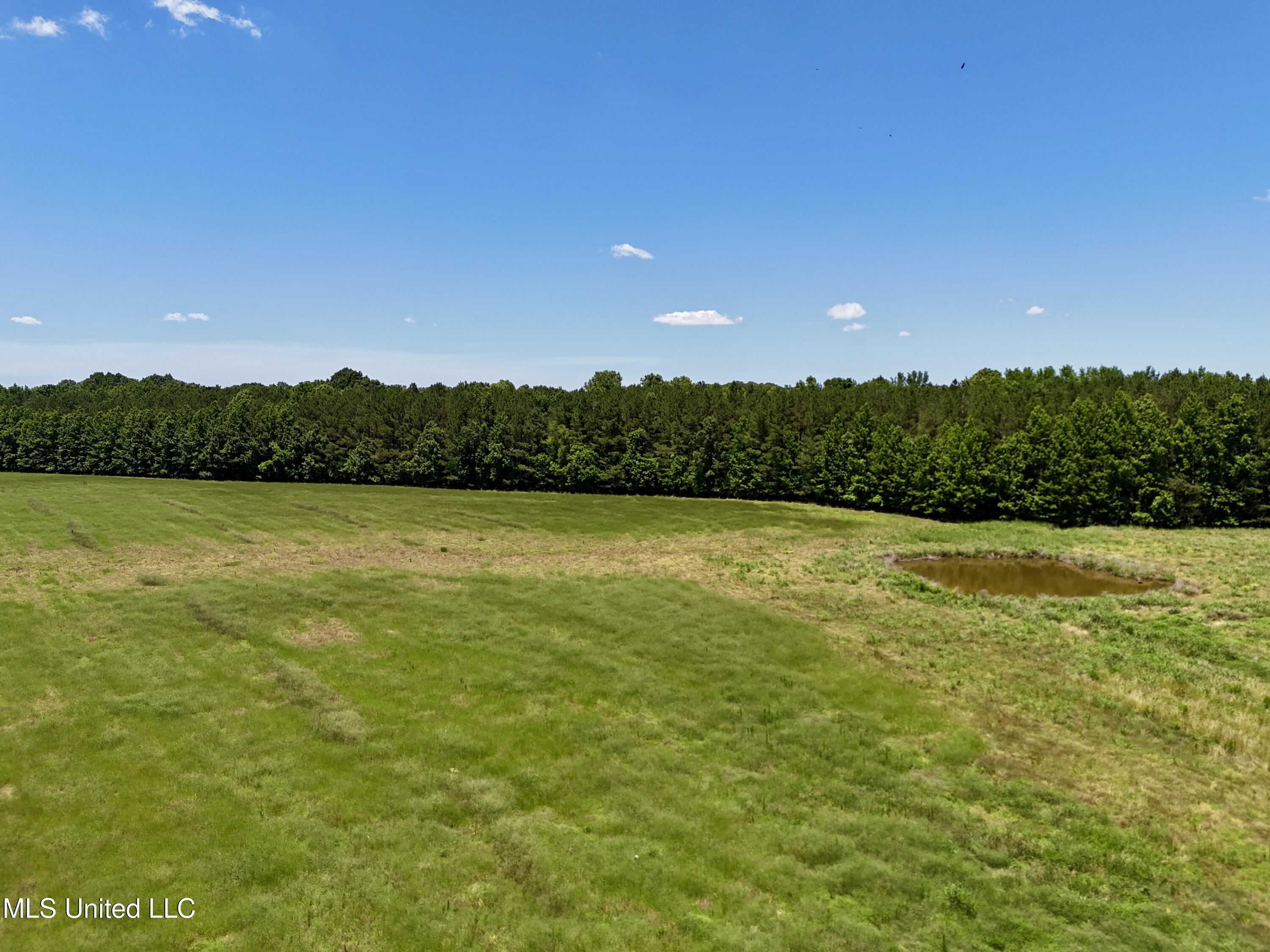 5 Johnson Line Road Bolton, MS 39041 - Photo 20 of 24 FC1FCF97-EE8A-47BA-A0E7-CA8486395695