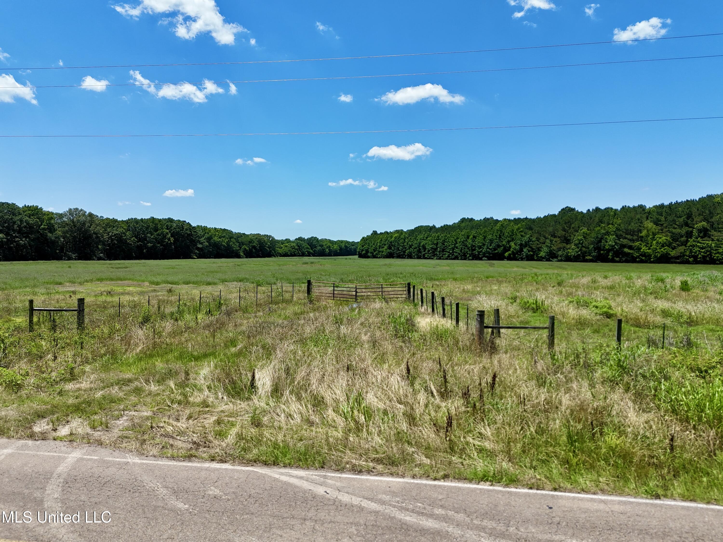 5 Johnson Line Road Bolton, MS 39041 - Photo 24 of 24 B2B0419F-57F3-45AC-907E-E6C90B9877C4