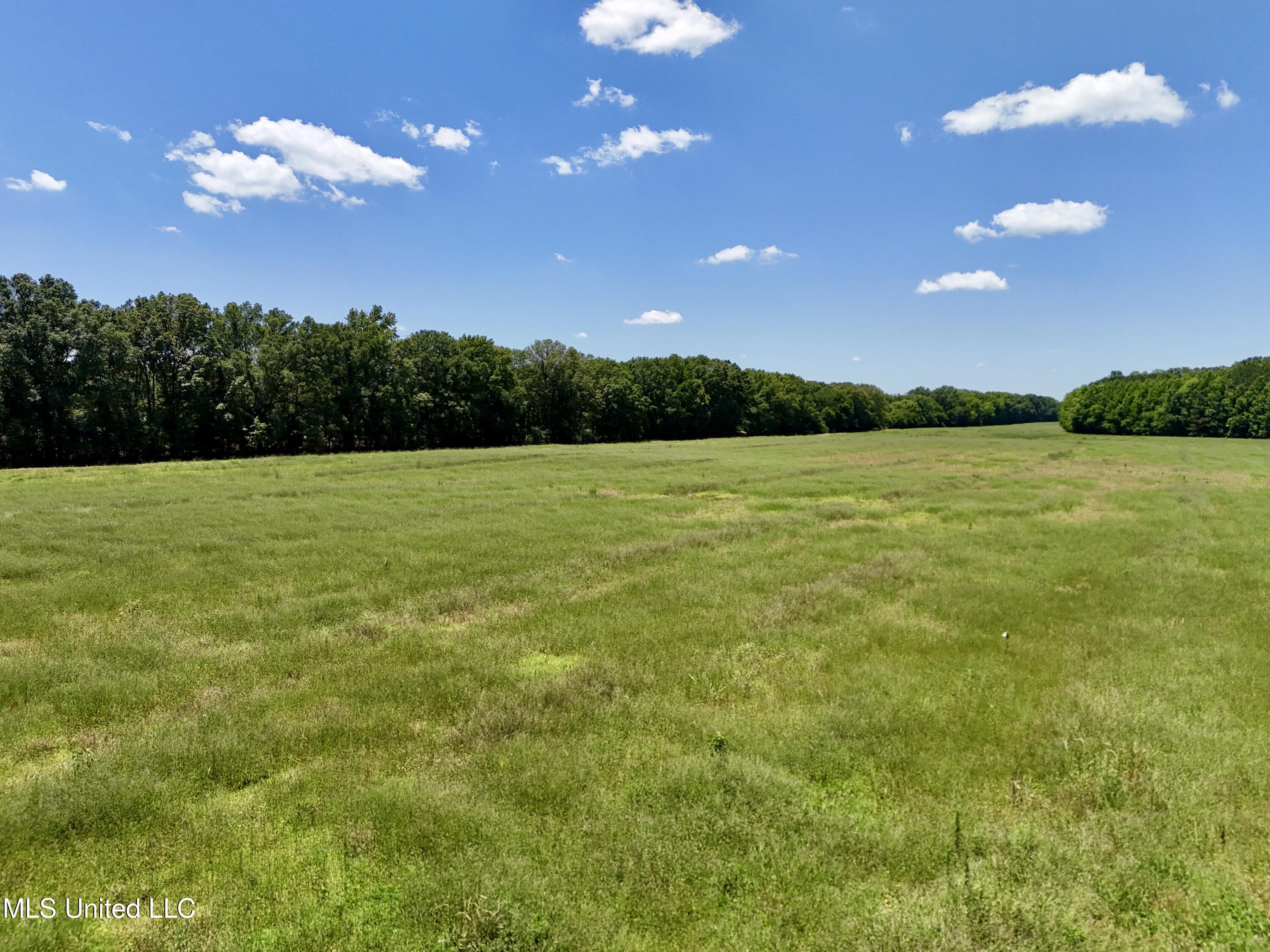 5 Johnson Line Road Bolton, MS 39041 - Photo 5 of 24 4FB3FDD1-9905-4429-B8A4-7CC03F2DD225