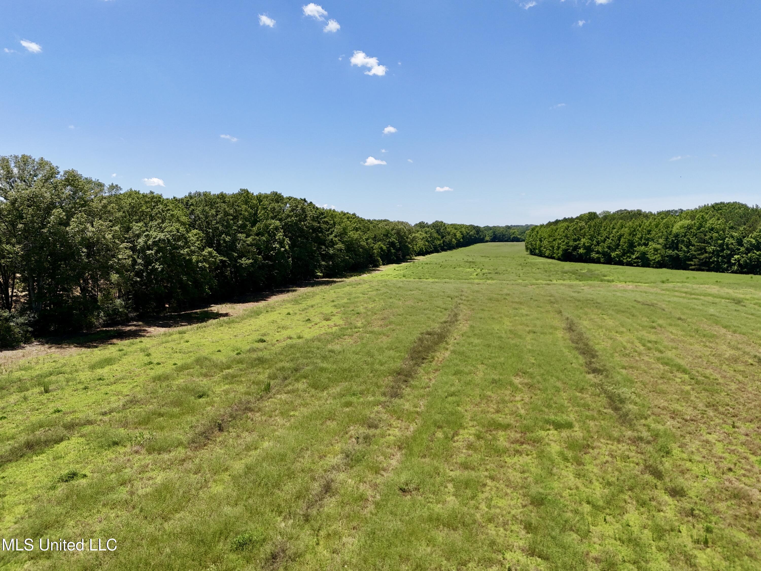 5 Johnson Line Road Bolton, MS 39041 - Photo 10 of 24 FD095712-944E-4037-A466-9FB42865052A