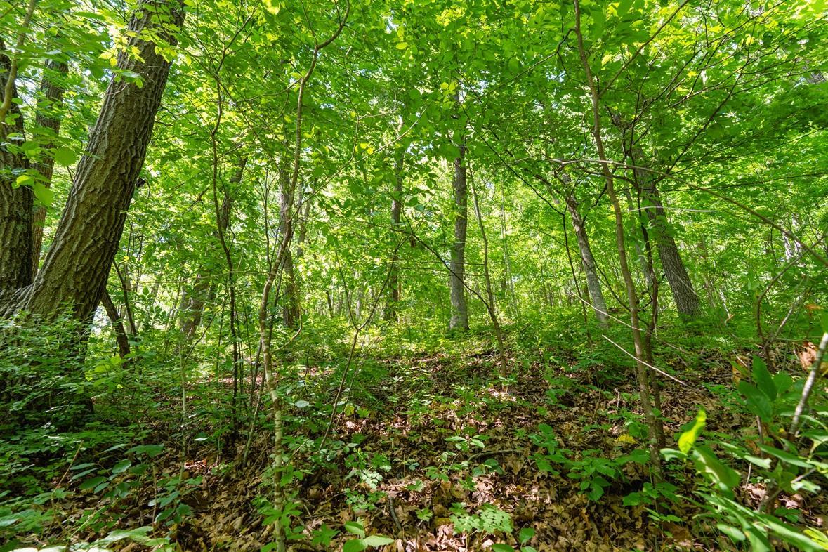 W9204 Big Coulee Road Arkansaw, WI 54721 - Photo 20 of 21