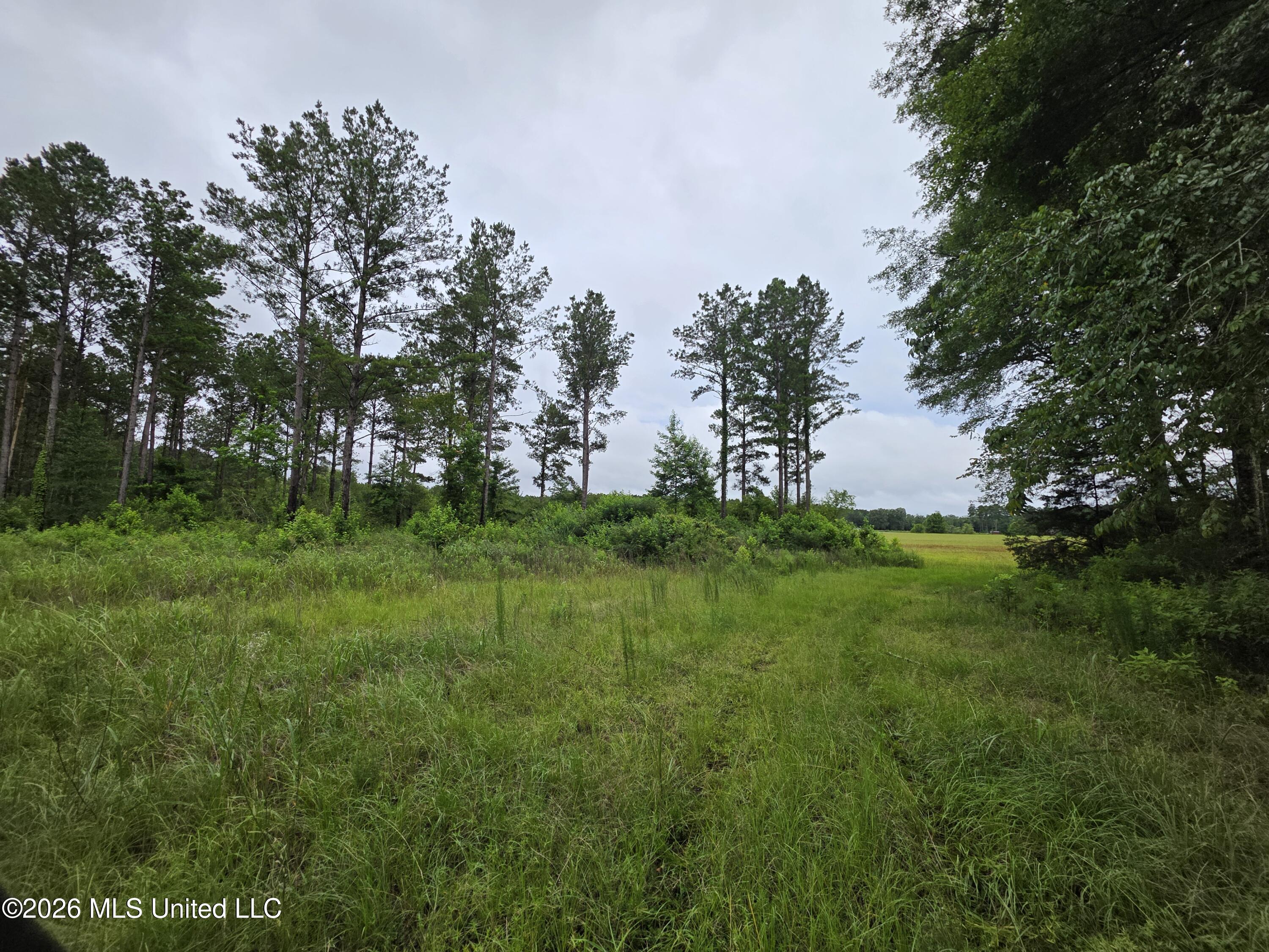 244 Foster Road Sontag, MS 39665 - Photo 40 of 105 35472