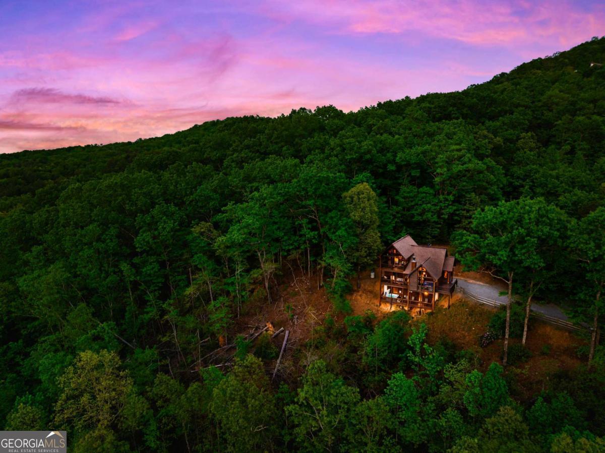 273 Deer Crest Heights Blue Ridge, GA 30513 - Photo 6 of 73