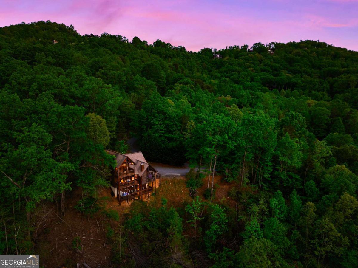 273 Deer Crest Heights Blue Ridge, GA 30513 - Photo 7 of 73 a picture of a yard