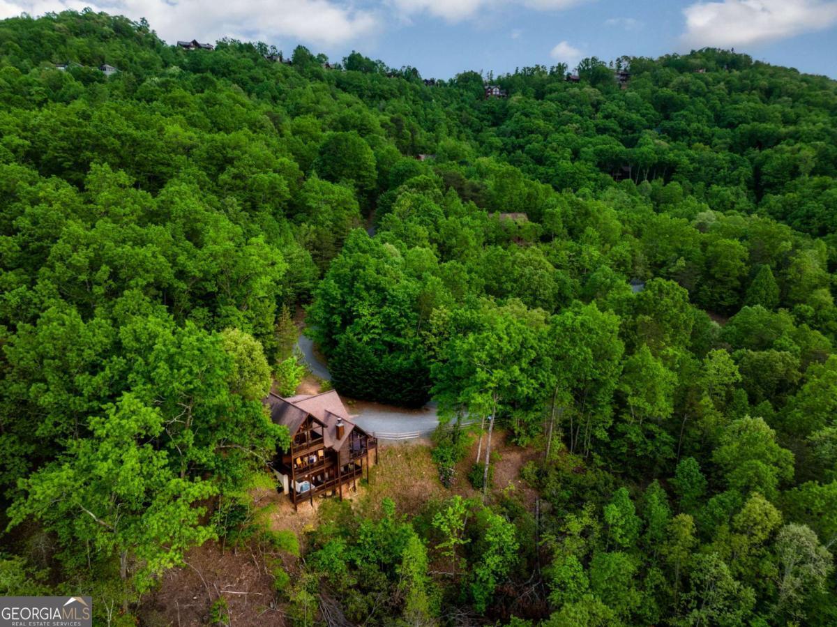273 Deer Crest Heights Blue Ridge, GA 30513 - Photo 71 of 73 an aerial view of a house with a yard