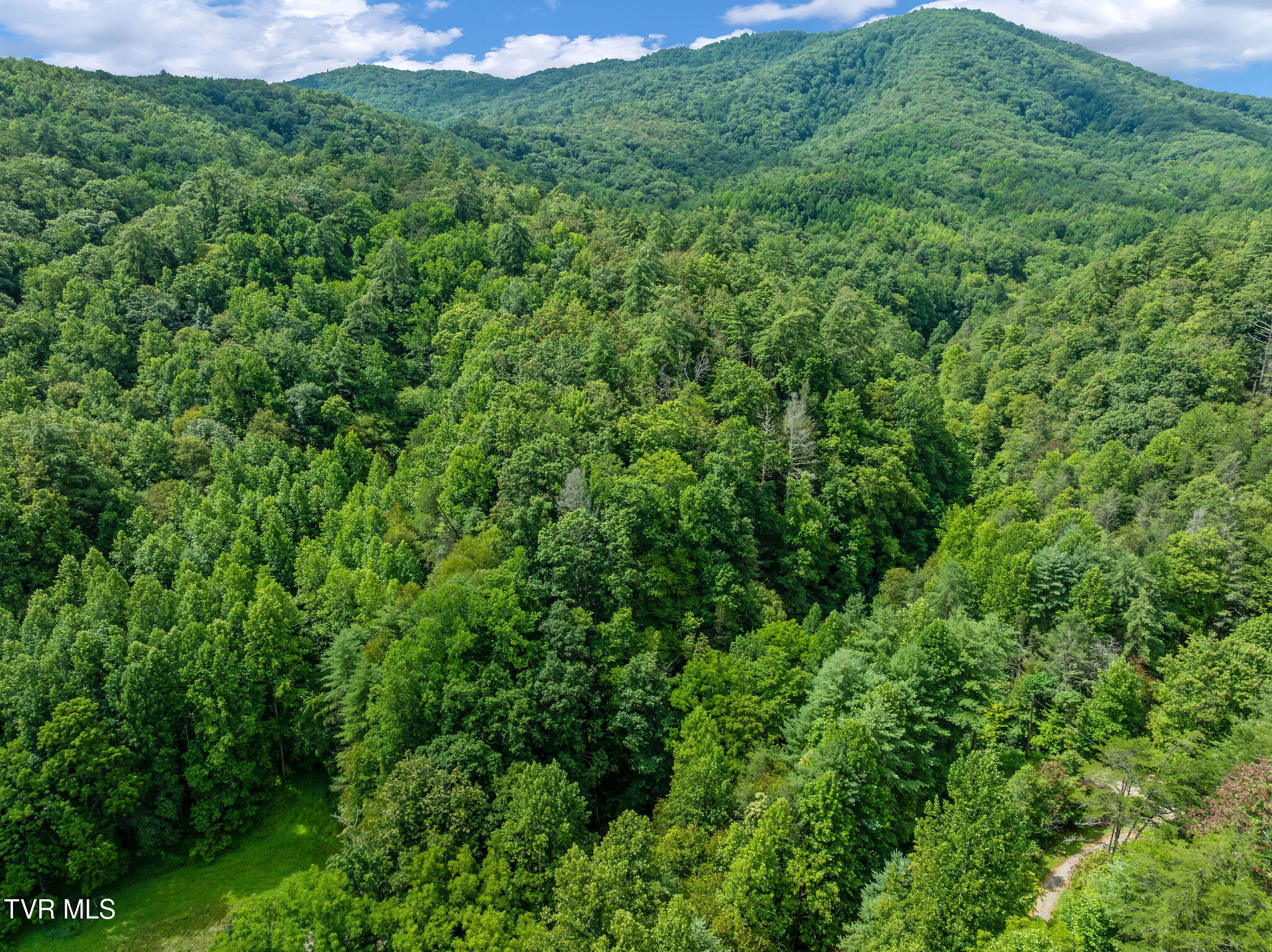 Tbd Omaha Road Del Rio, TN 37727 - Photo 6 of 18 DJI_0673